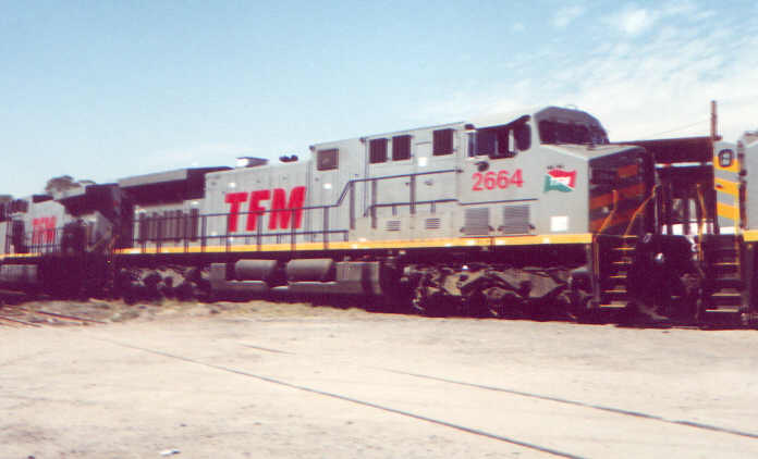 2664.jpg